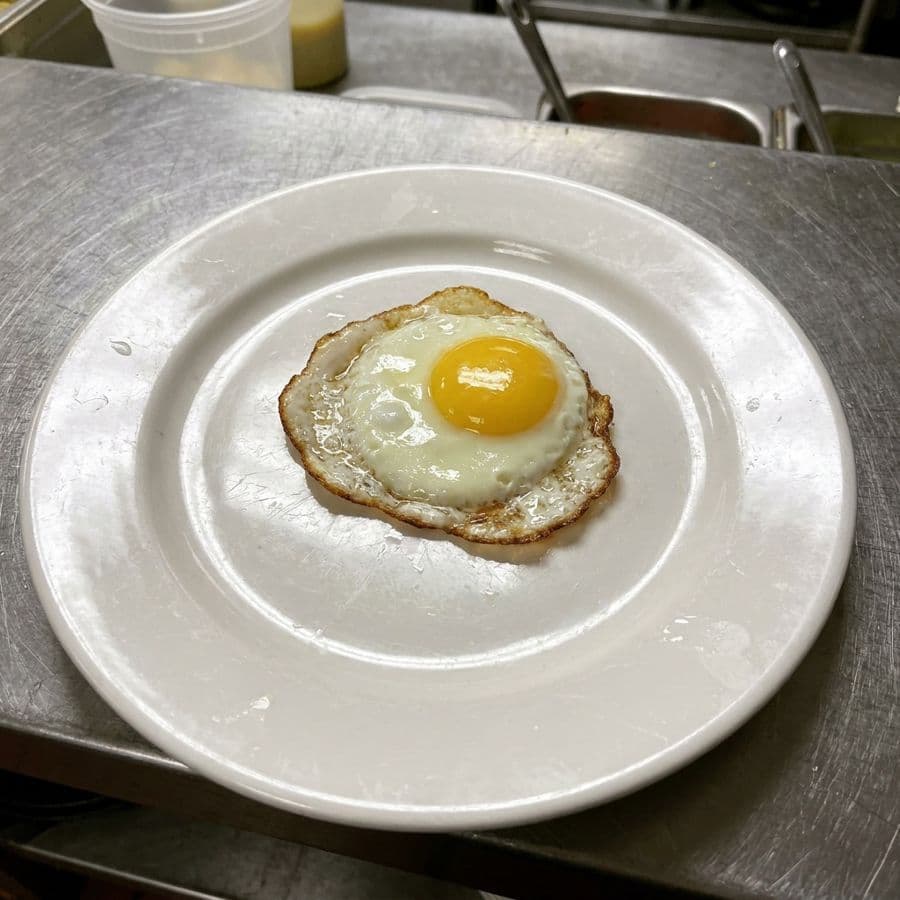 Egg